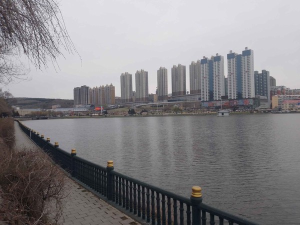 IMG_20240429_083135 IMG_20240429_083135