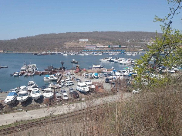 IMG_20240501_093010 IMG_20240501_093010