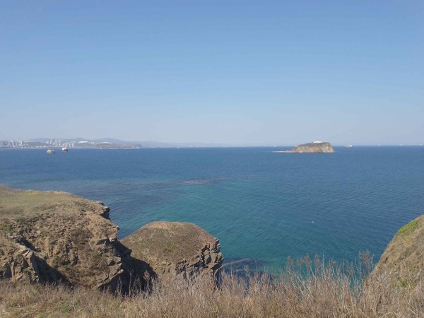 IMG_20240501_105515 IMG_20240501_105515