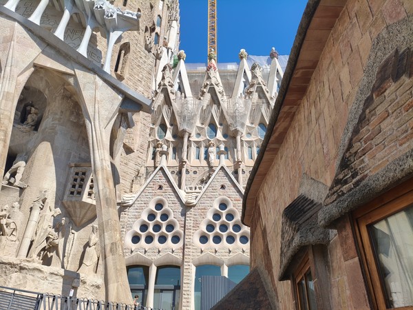 MVIMG_20250930_140036