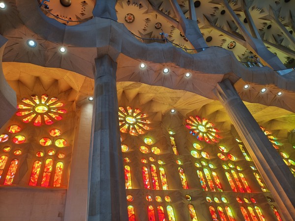 MVIMG_20250930_141159