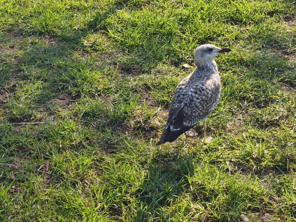 MVIMG_20250930_170935