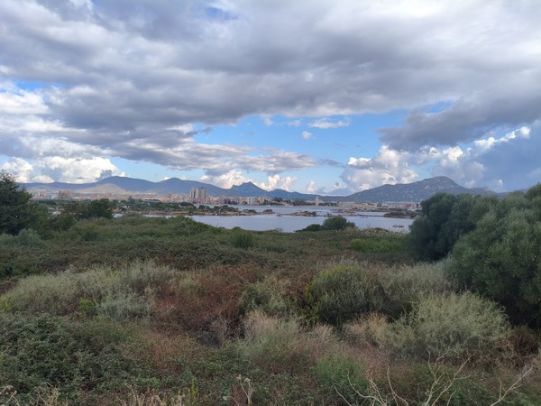 MVIMG_20251001_101249 MVIMG_20251001_101249