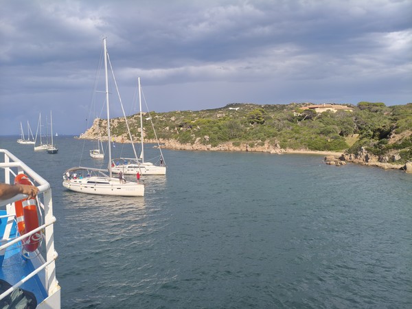 MVIMG_20251001_152217 MVIMG_20251001_152217