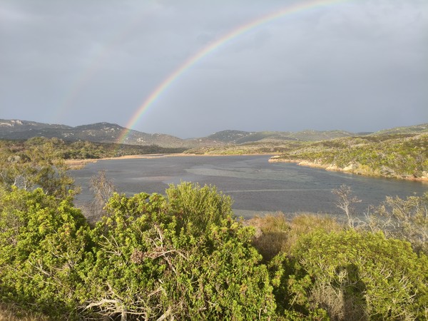 MVIMG_20251001_172013 MVIMG_20251001_172013