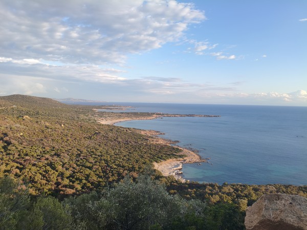 MVIMG_20251001_181244 MVIMG_20251001_181244