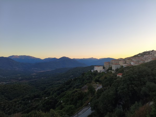 MVIMG_20251002_073122 MVIMG_20251002_073122