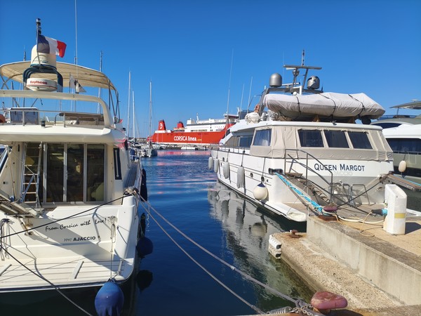 IMG_20251002_111146 IMG_20251002_111146