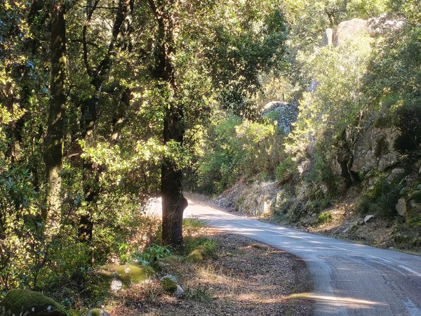 IMG_20251002_125240 IMG_20251002_125240