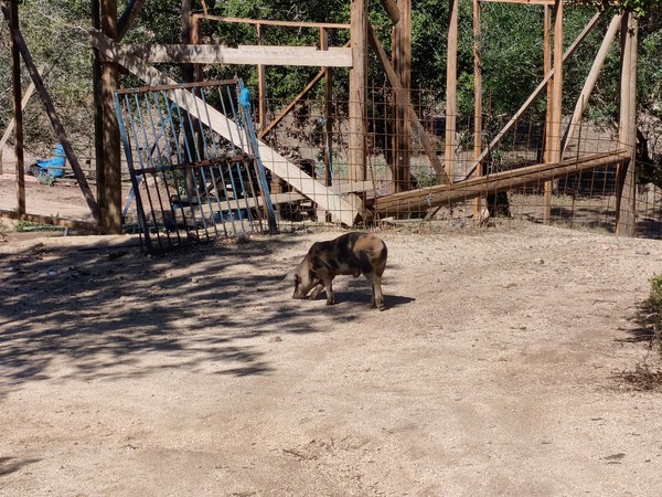 IMG_20251002_122948 IMG_20251002_122948