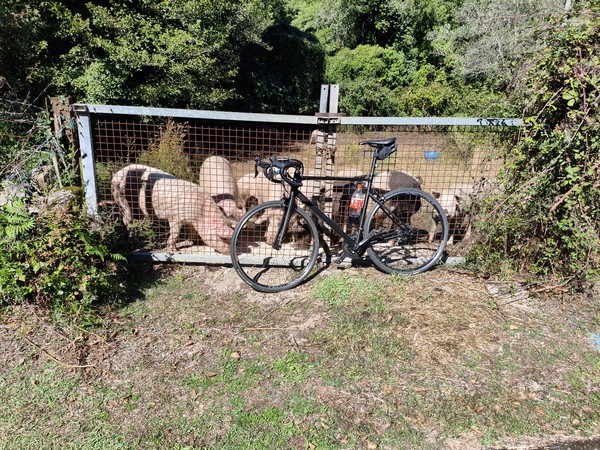 IMG_20251002_124131 IMG_20251002_124131