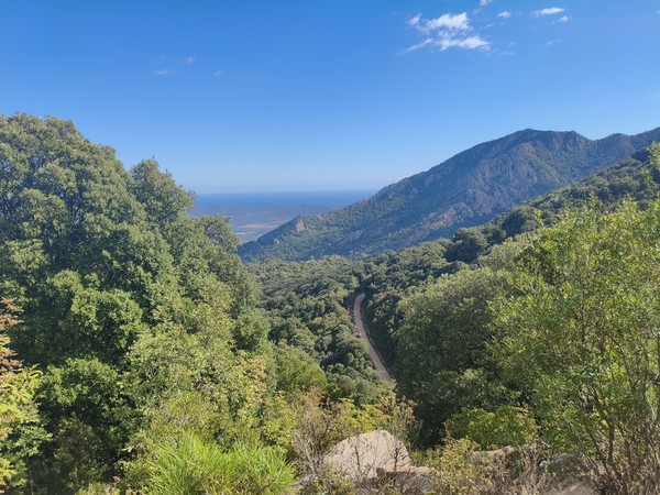 IMG_20251002_144958 IMG_20251002_144958