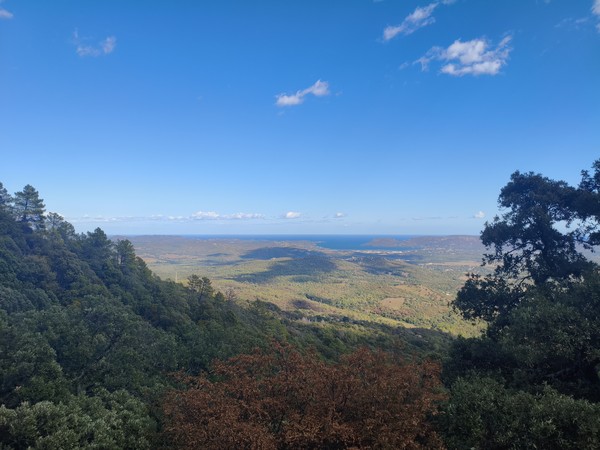 IMG_20251002_151124 IMG_20251002_151124