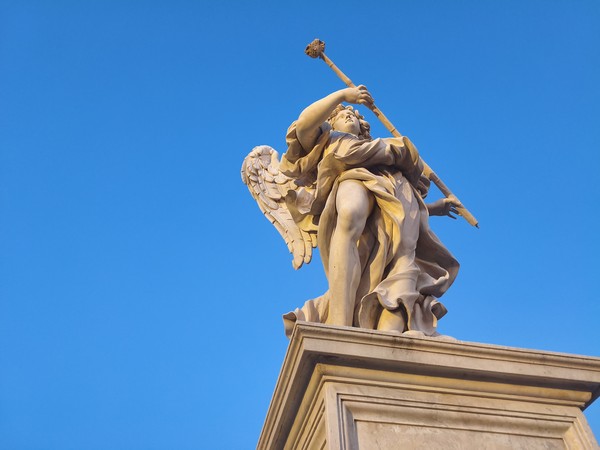 MVIMG_20250927_064454 MVIMG_20250927_064454