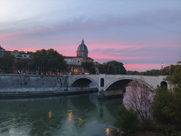 MVIMG_20250927_064905 MVIMG_20250927_064905