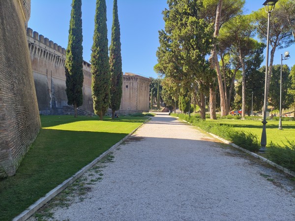 MVIMG_20250927_131540 MVIMG_20250927_131540