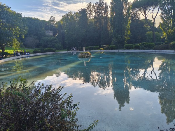 MVIMG_20250927_173725 MVIMG_20250927_173725