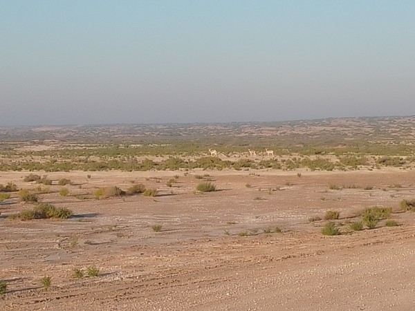 IMG_20250106_085700