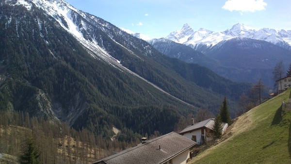 alp1 alp1