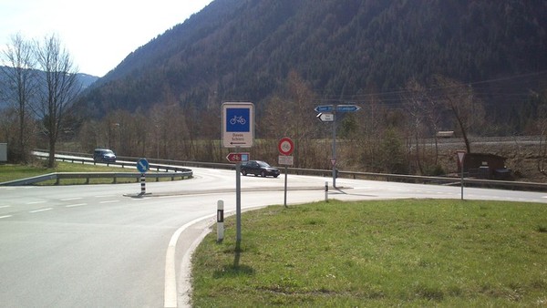 alp17 alp17