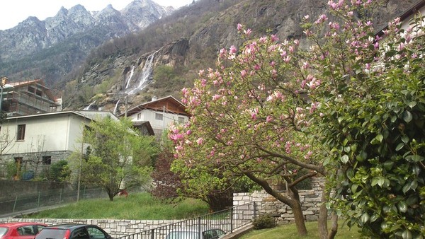 alp70 alp70