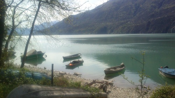 alp72 alp72