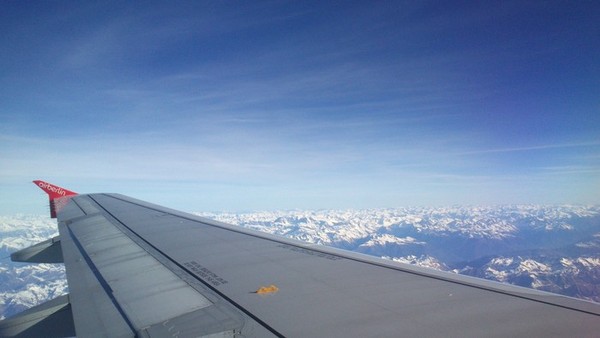 alp77 alp77