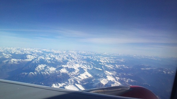 alp78 alp78