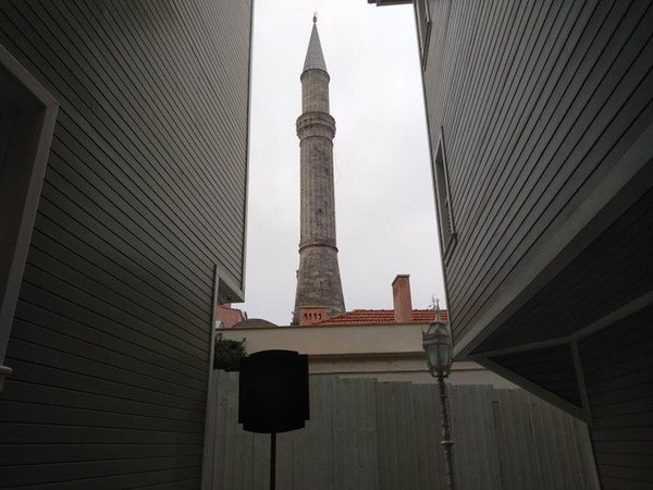 t126 t126